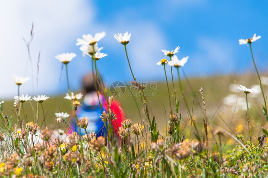 在草原上花朵后面的模糊人之前曾与蓝天一起探索自然户外家庭美丽的图片
