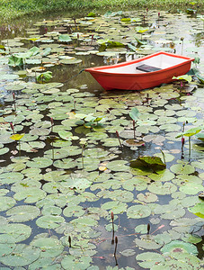 红塑料船在小池塘中用莲花收集百合水农场村泰国图片