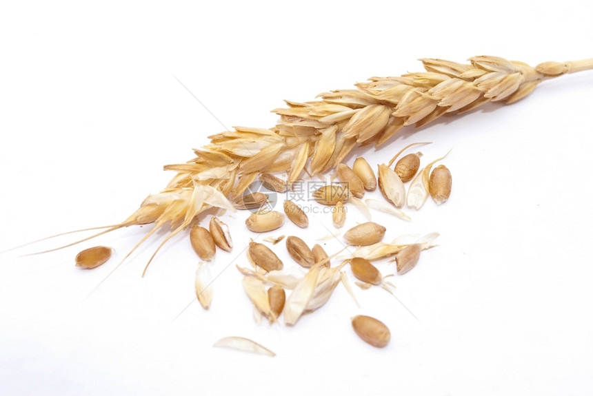 一顿饭食物生产小麦耳图片