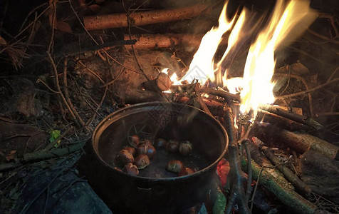 黑暗的燃烧用具夜间在树林里做饭时点火图片