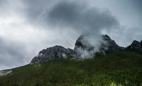 景观山坡在云中躺着青绿的阴锥被迷雾笼罩在景色风中森林爬坡道图片
