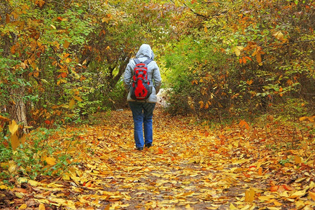 季节健康红色的白天在秋公园走着红包的年轻女子图片