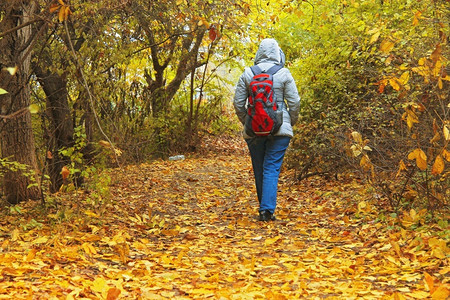 鞋运动服白天在秋公园走着红包的年轻女子士图片