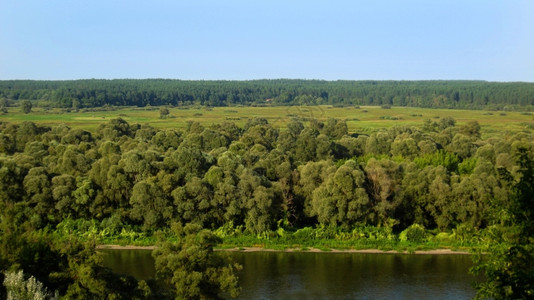 新鲜的自然地平线夏季风景有河流和树木夏季风景有河流和柳树图片