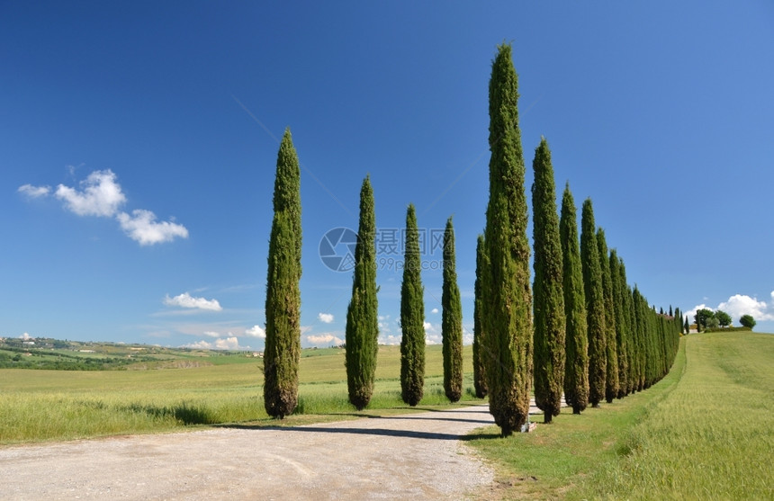 意大利托斯卡纳农村公路图片