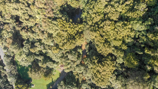 Wawahomo农村春天新西兰山丘全景的春光绿色衬套景观图片
