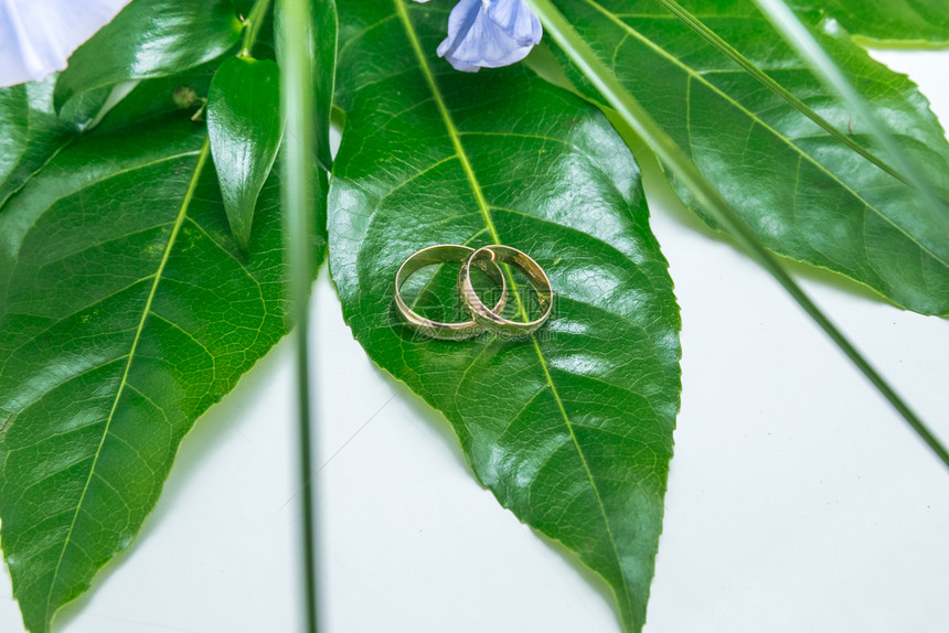 宝石两环和绿叶拉托维亚艺术婚礼照片2017年婚姻象征图片