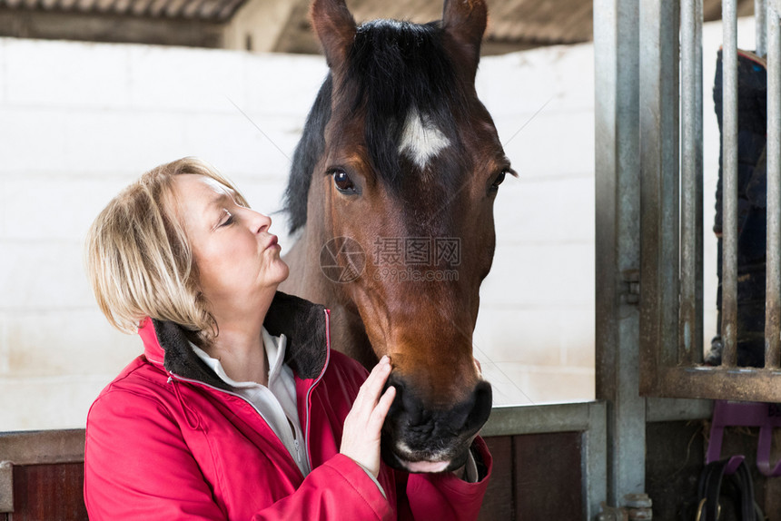保持动物关怀住在有马匹的安定中女拥有者图片