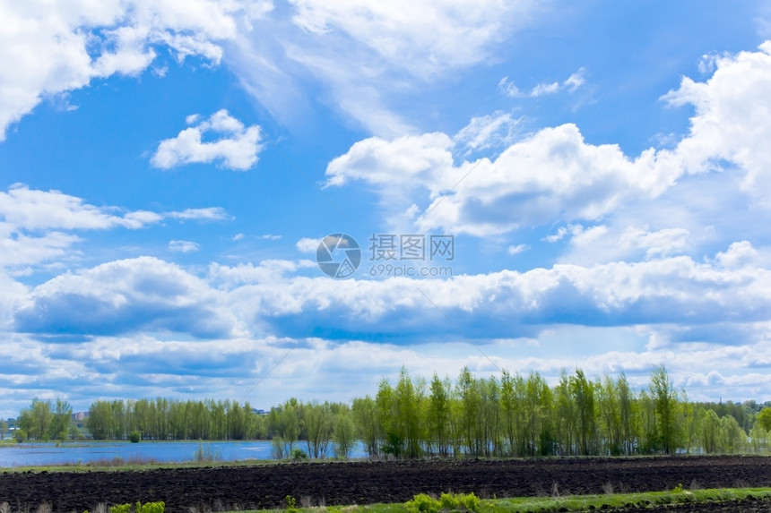 与天空和森林的夏日风景照片树叶植物群夏天图片