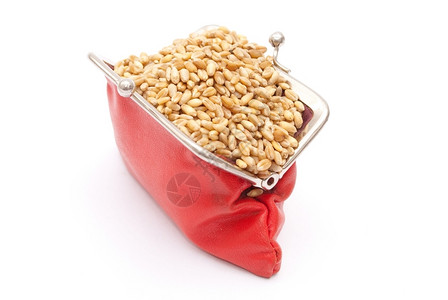 农业带小麦的红包色金融背景图片