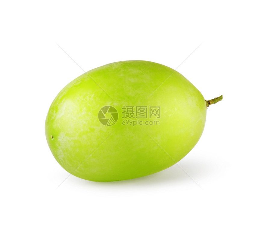 枝条闪亮的在白色背景上孤立的绿色甜葡萄分支图片