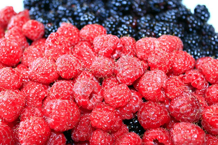 黑莓和草一大堆成熟的浆果红莓和黑色的吃桩图片