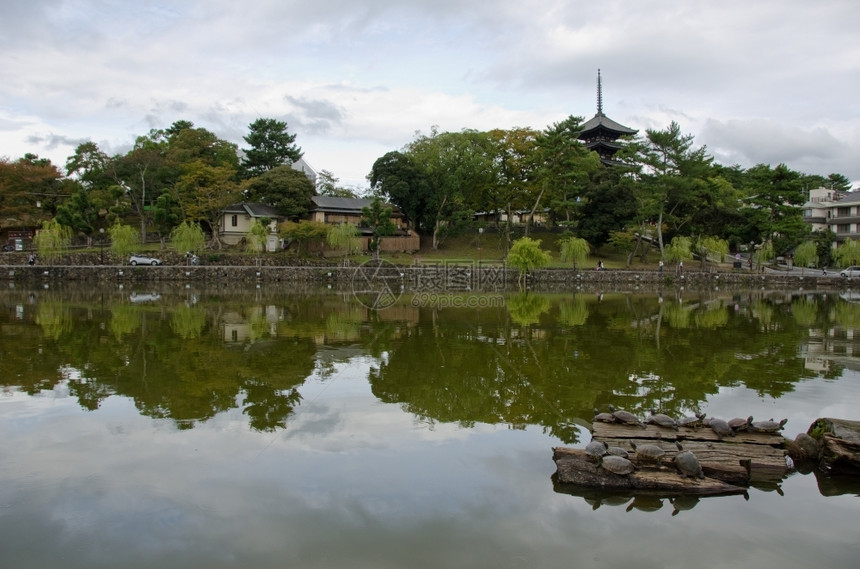 纳拉湖和塔从宽角度观察日本奈拉的一个湖其前方有海龟背景是Kofukukuji寺的塔佛教高山图片
