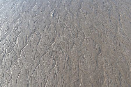 一种流走带排水小溪的潮汐带排水的泥滩上潮汐溪质地图片