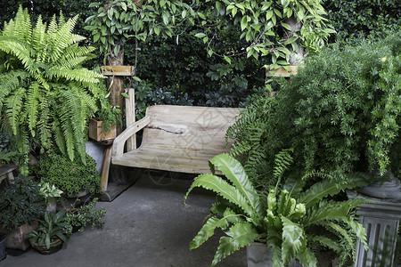 室外花园的木林摇椅股票照片院子摇摆自然图片