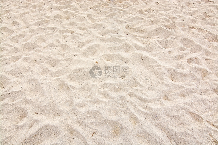 复制植物西班牙巴利阿里群岛Mallorca海滩上的软沙土背景天图片