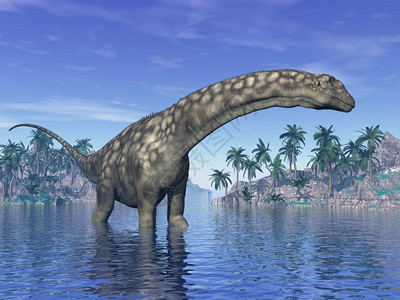 有棕榈树的岛屿旁边水里有亚金诺龙恐白天美丽的亚金诺龙恐3D化身野生动物树木设计图片