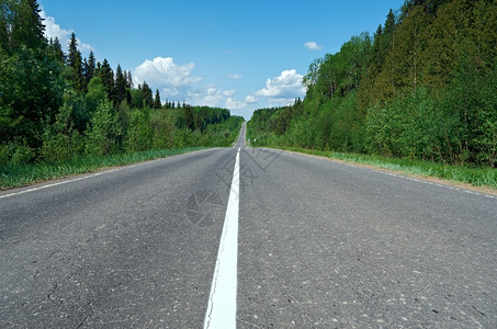俄罗斯森林阿尔汉格斯克地区景观沥青平线图片