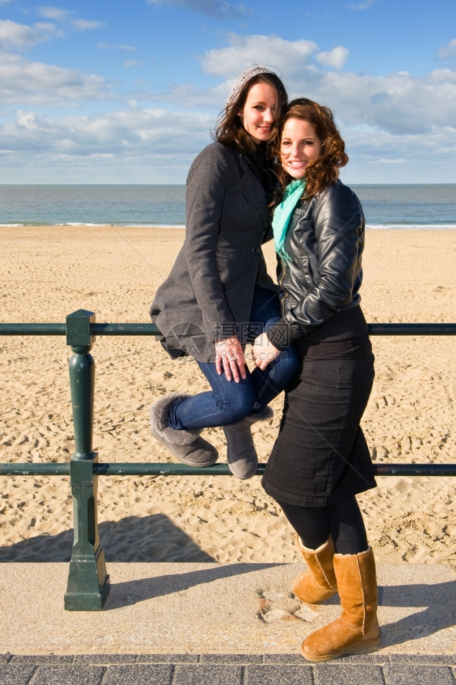 女士皮革在美丽的秋天下午两位朋友在海滩摆姿势栏杆图片
