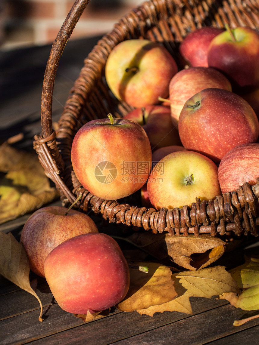 秋天木桌上装着红苹果的韦克篮子太阳晴天图片