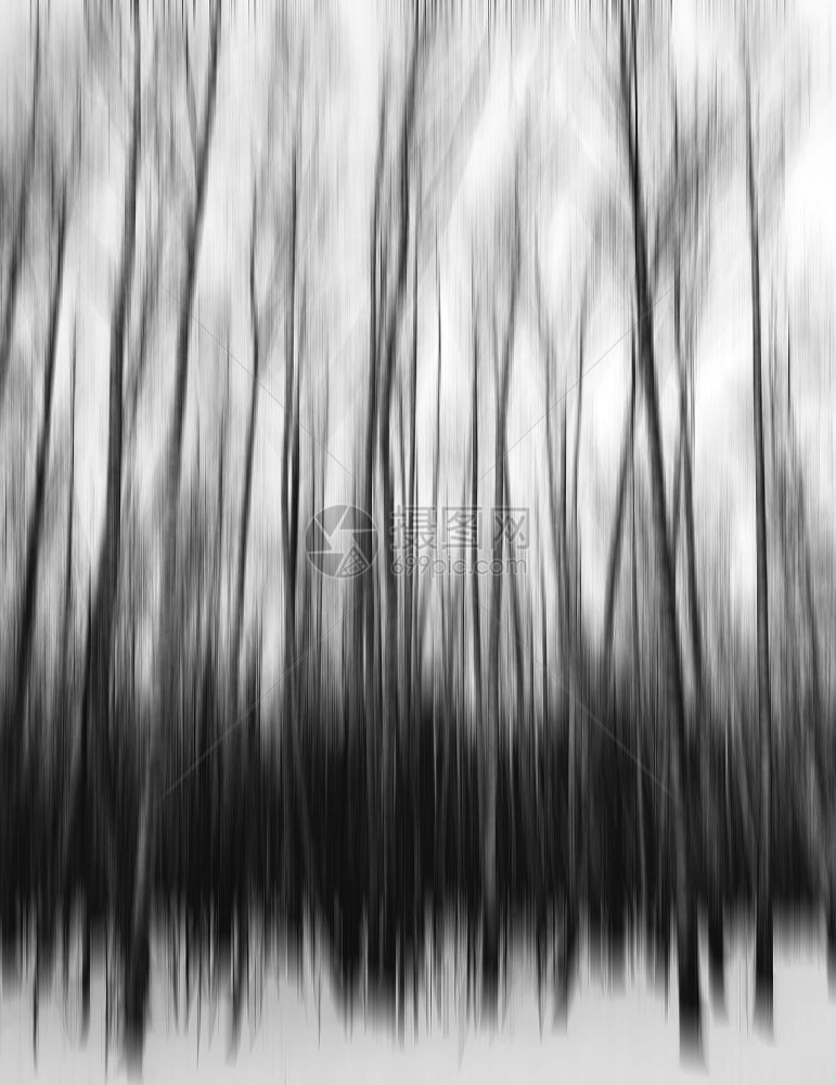 树木垂直黑白运动模糊树艺术抽象背景垂直黑白运动模糊树艺术抽象背景插图空的图片