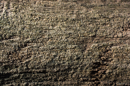 有质感的将树皮纹理作为木背景关闭制的材料高清图片