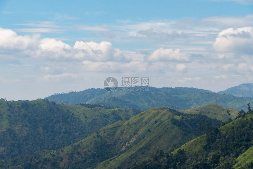 天空洪水北方森林入侵问题树在森林中的问题树木被摧毁森林入侵问题图片