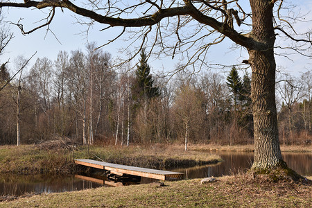 农村蓝色的宁静小型木桥在田地风景中的池塘穿越小木桥图片