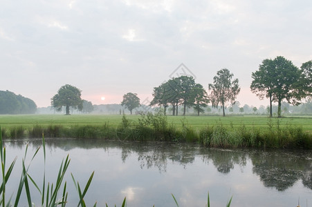 太阳蒙荷兰乡下美丽的薄雾日出地平线图片