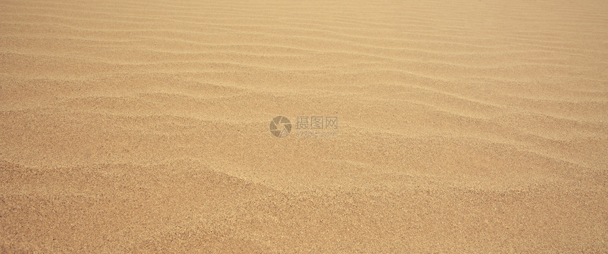 橙细节海滩以环绕着波涛的沙子为背景图片