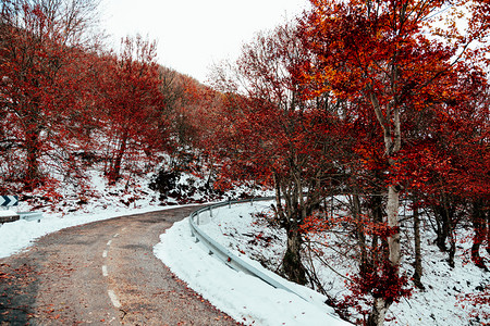 冬季的河谷和雪山森林图片