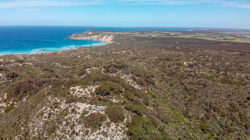 桉树南澳大利亚远东山丘和Kangaroo岛农村的空中观察草地绿色图片
