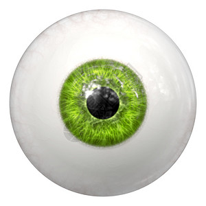 实际的虹膜2d绿色人眼球插图关心图片