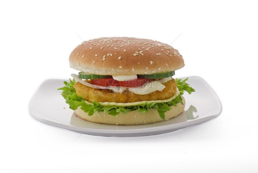莴苣面包食物白背景的鸡奶酪汉堡孤立图片