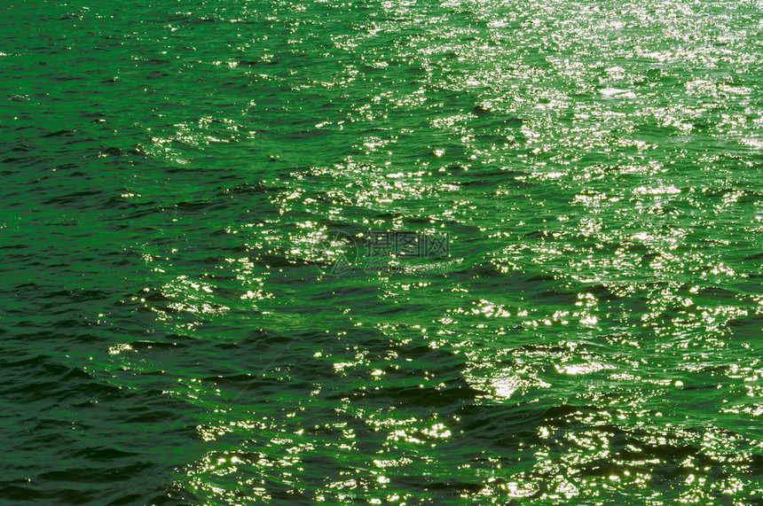 绿色调子背景水面的波纹背景面和季节纯度目的图片