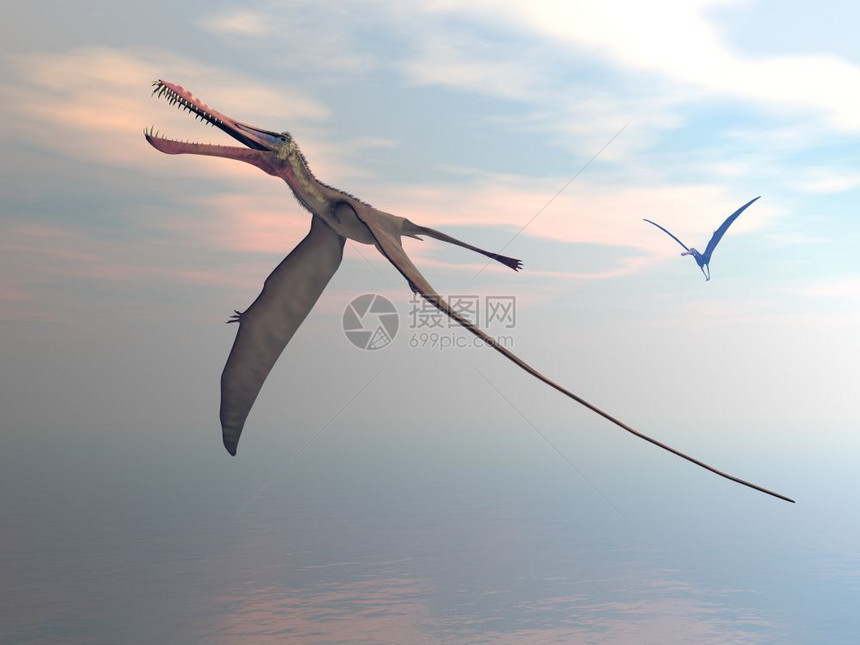 形象的古生物学安汉拉史前鸟类日落时在海上飞行3D使安汉古拉史前鸟类爬虫图片