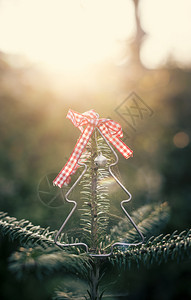 圣诞树在阳光下的圣诞树明光装饰树美丽的冷杉丝带图片
