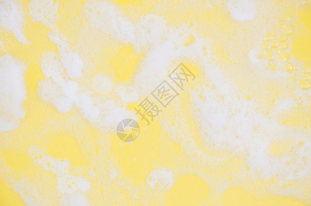 全框架白色肥皂土黄底报告种子图片