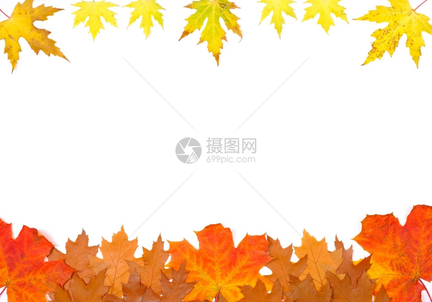 多彩秋叶框架背景图片