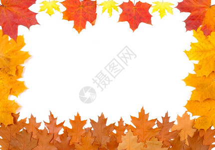 秋叶框架背景图片
