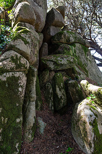 绿色葡萄牙辛特拉的Pena自然林公园带有树木和石块连续下坡地标图片