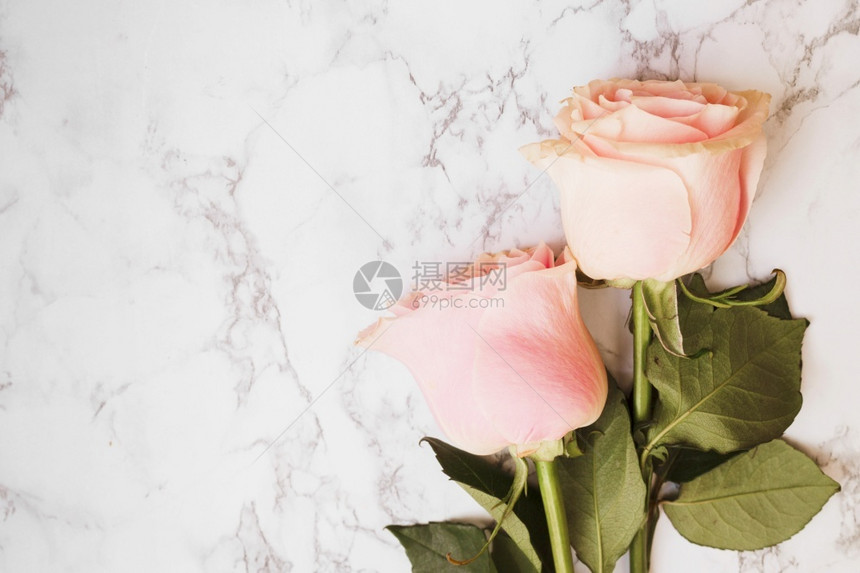 水果两朵美丽的粉红玫瑰与大理石纹身背景框架墙纸图片