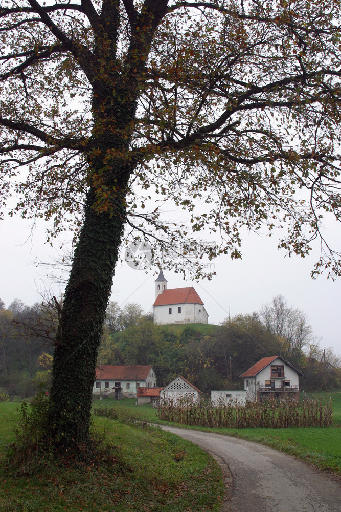 纪念碑崇拜克罗地亚美丽的小型农村教堂美观小乡村教堂图片