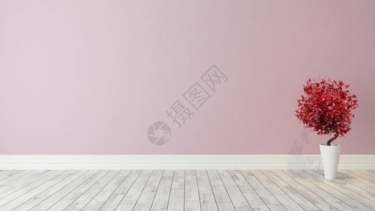 粉红色墙底背景室内有红植入的物装饰构想3镶木地板内部的屋图片