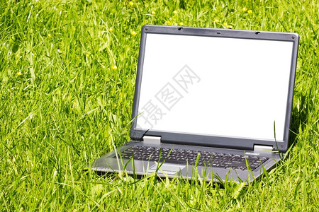 空白的草地上有屏幕的笔记本电脑全球化联系图片