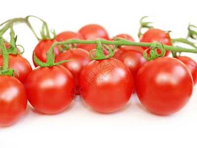 健康水果一顿饭西红柿在白色的树枝上分离新鲜的红色西柿在白的树枝上分离图片