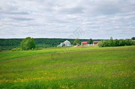 北俄罗斯村庄Arkhangelsk地区俄罗斯北部农业草景观图片