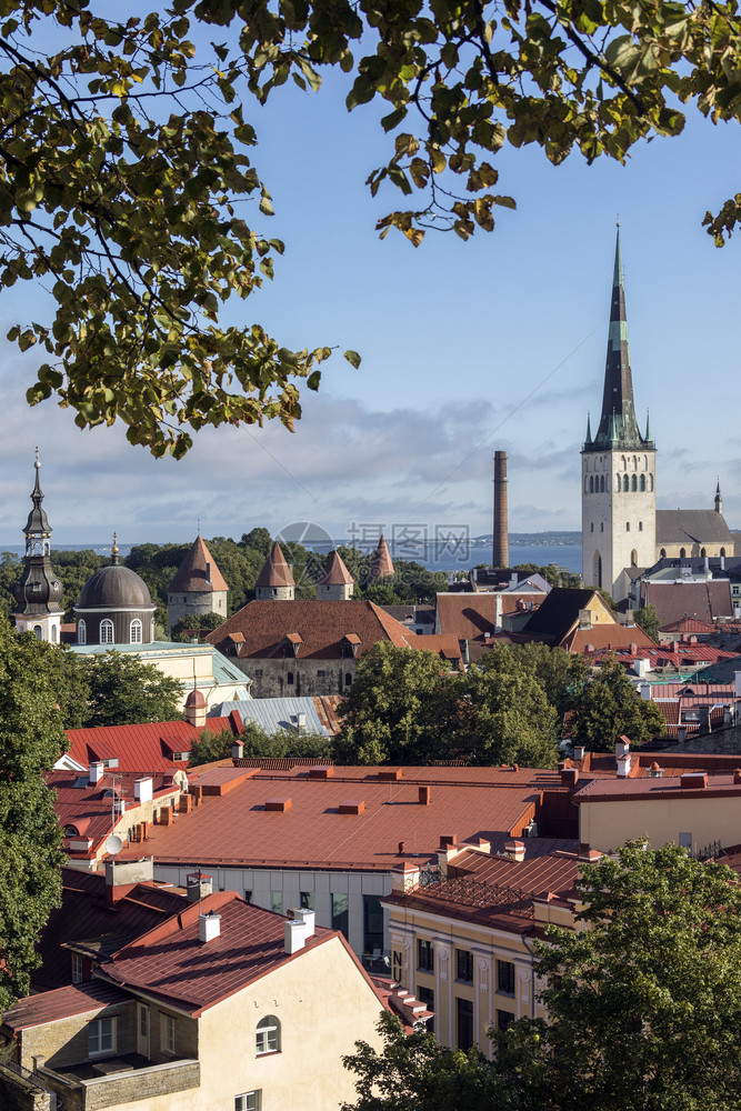 英石目的地欧洲爱沙尼亚塔林市旧城是欧洲保存最好的中世纪城市之一也是教科文组织的世界遗产迹塔林是爱沙尼亚首都是芬兰湾的一个主要港口图片