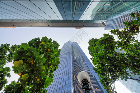 由树木环绕的天楼向空看望着商业和公司概念经过棕榈外部的图片