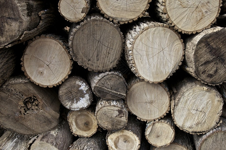 户外温暖的自然木柴背景火图片